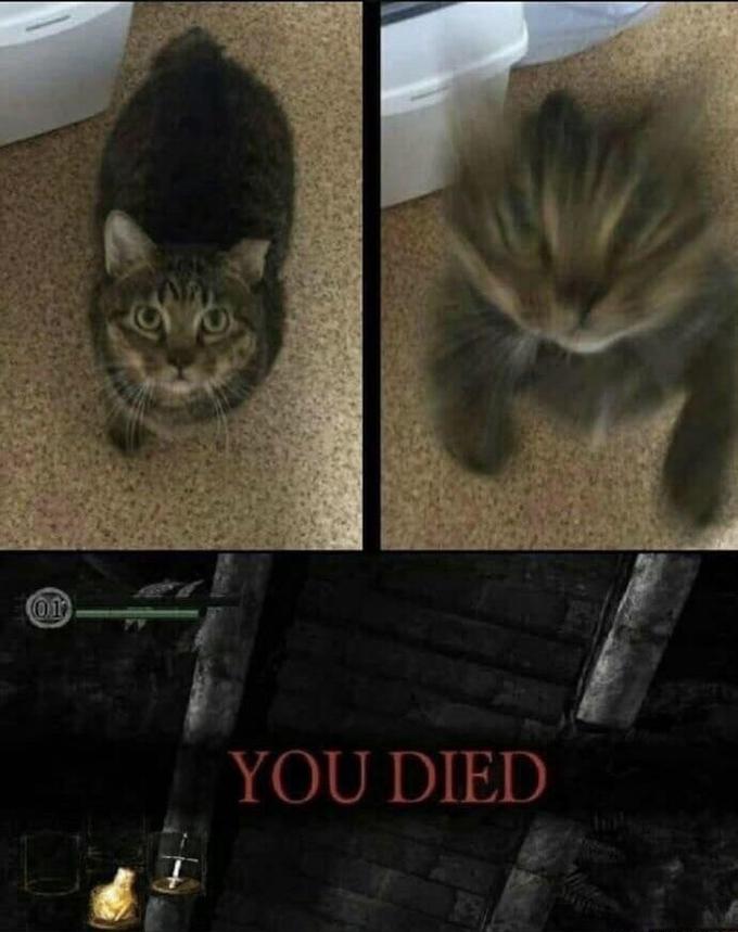 (01 YOU DIED