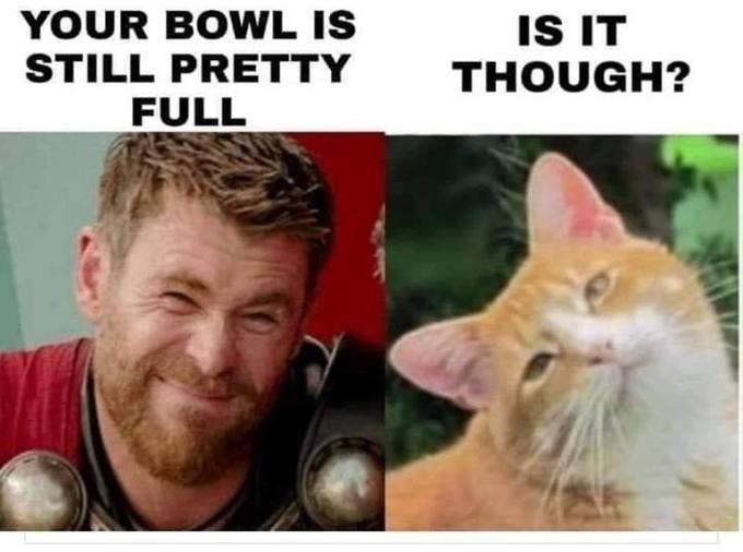 YOUR BOWL IS STILL PRETTY FULL IS IT THOUGH?