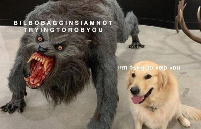 BILBOBAGGINSIAMNOT TRYINGTOROBYOU m trying to help you