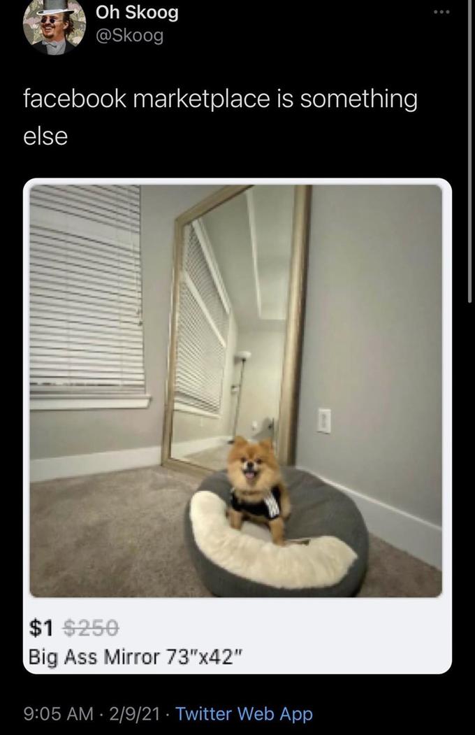Oh Skoog @Skoog facebook marketplace is something else $1 $250 Big Ass Mirror 73"x42" 9:05 AM · 2/9/21 · Twitter Web App