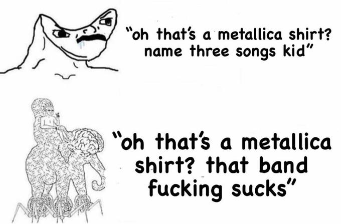 "oh that's a metallica shirt? name three songs kid" "oh that's a metallica shirt? that band f------ sucks"
