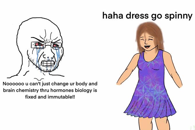 haha dress go spinny Noooo0o u can't just change ur body and brain chemistry thru hormones biology is fixed and immutable!!