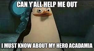 CANY'ALL HELP ME OUT I MUST KNOW ABOUT MY HERO ACADAMIA