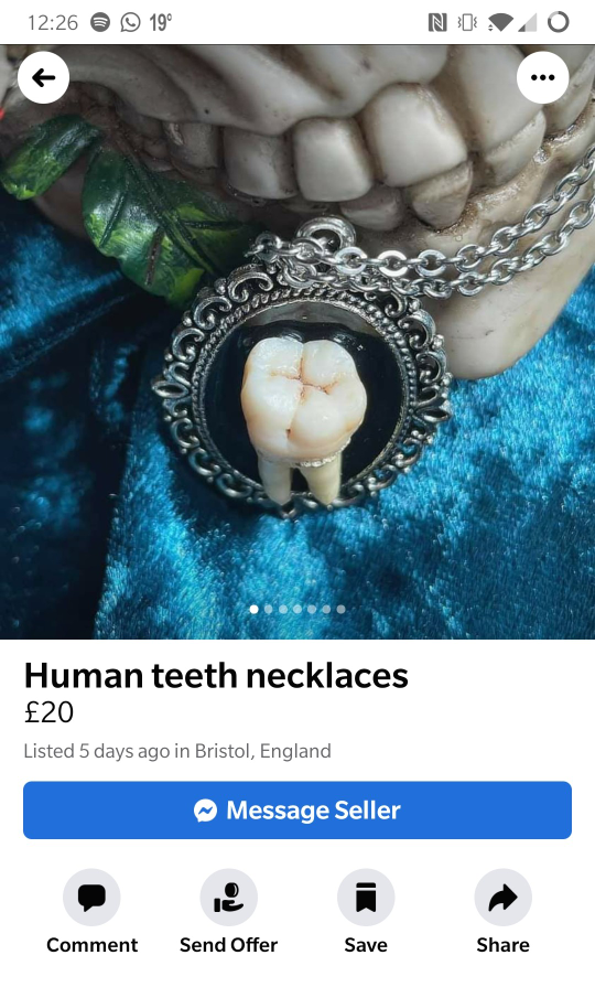 12:26 O 19° Human teeth necklaces £20 Listed 5 days ago in Bristol, England Message Seller Comment Send Offer Save Share