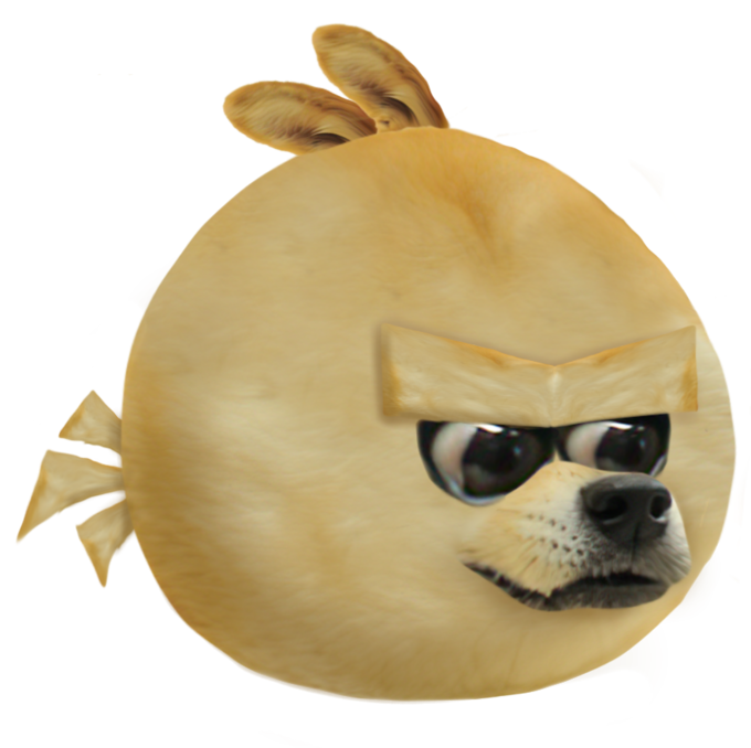 Angry Doge Dogelore Know Your Meme