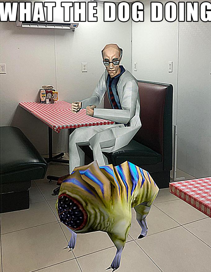 WHAT THE DOG DOING انست