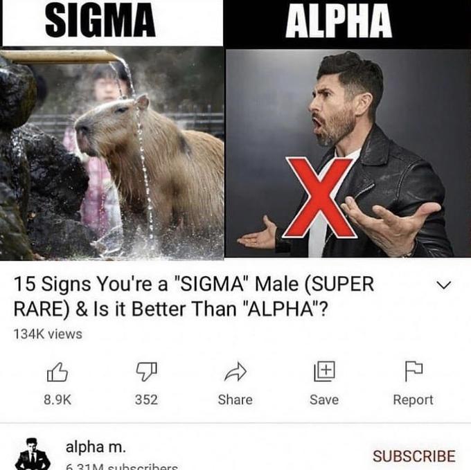 SIGMA ALPHA 15 Signs You're a "SIGMA" Male (SUPER RARE) & Is it Better Than "ALPHA"? 134K views 8.9K 352 Share Save Report alpha m. SUBSCRIBE 6.31M subscribers