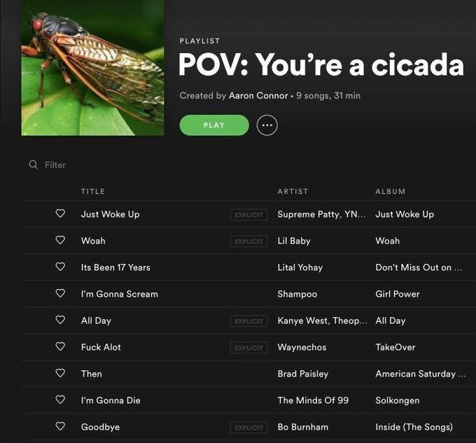 PLAYLIST POV: You're a cicada Created by Aaron Connor · 9 songs, 31 min PLAY Q Filter TITLE ARTIST ALBUM Just Woke Up Supreme Patty, YN... Just Woke Up EXPLICIT Woah EXPLICIT Lil Baby Woah Lital Yohay Don't Miss Out on .. Its Been 17 Years I'm Gonna Scream Shampoo Girl Power All Day Kanye West, Theop... All Day EXPLICIT F--- Alot EXPLICIT Waynechos TakeOver Then Brad Paisley American Saturday ... I'm Gonna Die The Minds Of 99 Solkongen Goodbye Bo Burnham Inside (The Songs) EXPLICIT
