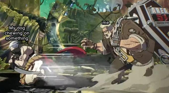 AREA me FHTER STE My dog chewing on something