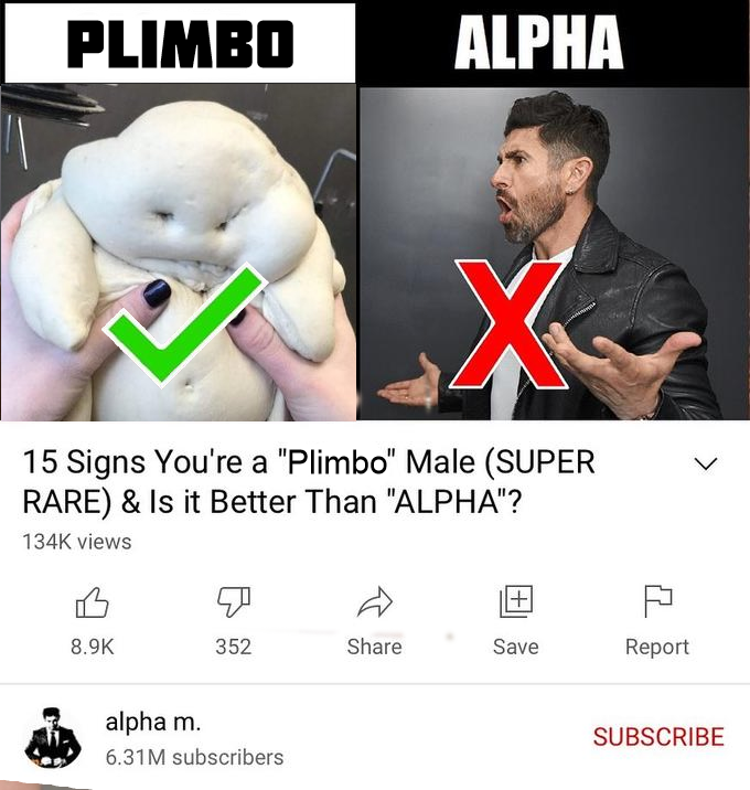 PLIMBO ALPHA 15 Signs You're a "Plimbo" Male (SUPER RARE) & Is it Better Than "ALPHA"? 134K views +1 8.9K 352 Share Save Report alpha m. SUBSCRIBE 6.31M subscribers