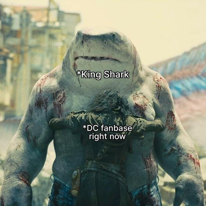 *King Shark *DC fanbase right now