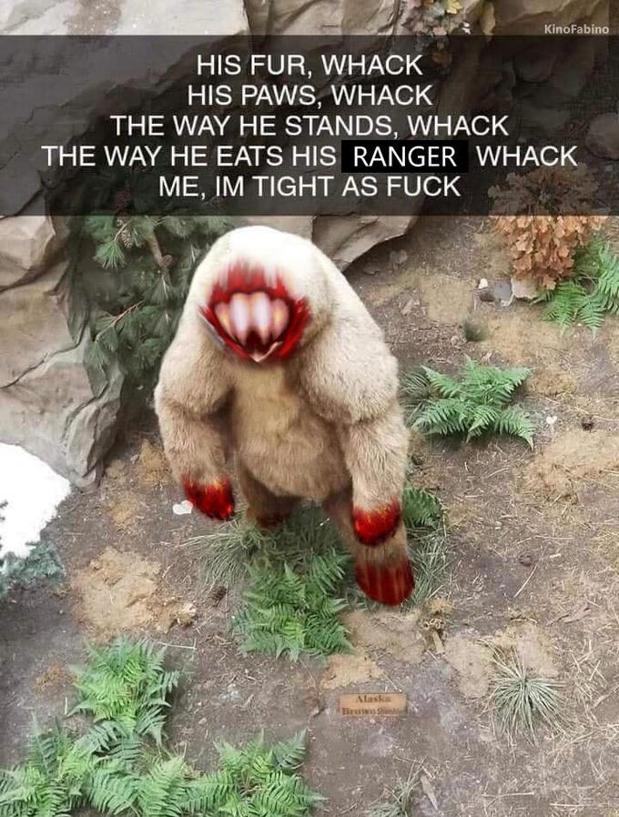 KinoFabino HIS FUR, WHACK HIS PAWS, WHACK THE WAY HE STANDS, WHACK THE WAY HE EATS HIS RANGER WHACK ME, IM TIGHT AS F--- Alaska Brown Shambl