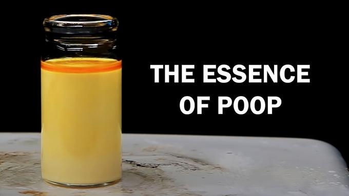 THE ESSENCE OFPOOP