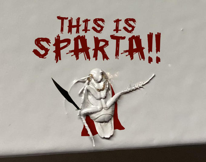 THIS IS SPARTA!!