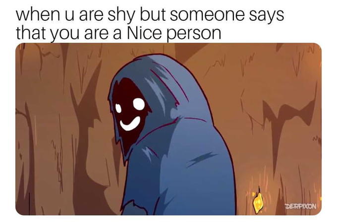 when u are shy but someone says that you are a Nice person DERPIXON