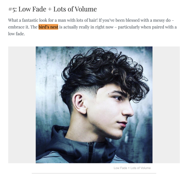 Origin Of Bird s Nest Haircut Bird s Nest Haircut Broccoli Haircut Origin Of Bird s Nest Haircut Bird s Nest Haircut Broccoli Haircut