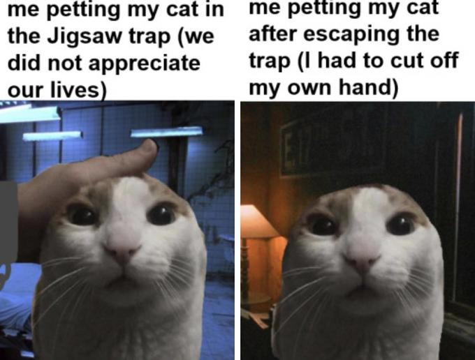 me petting my cat in me petting my cat the Jigsaw trap (we did not appreciate our lives) after escaping the trap (I had to cut off my own hand)