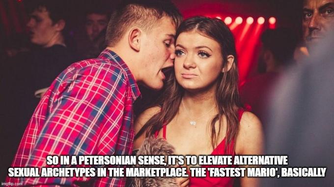 SO IN A PETERSONIAN SENSE, ITS TO ELEVATE ALTERNATIVE SEXUAL ARCHETYPES IN THE MARKETPLACE. THE FASTEST MARIO', BASICALLY imgflip.com