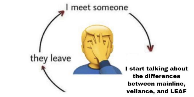 I meet someone they leave I start talking about the differences between mainline, veilance, and LEAF