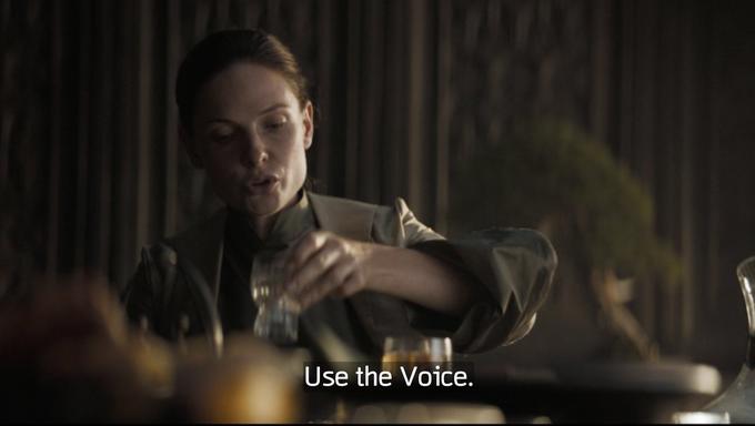 Use the Voice.