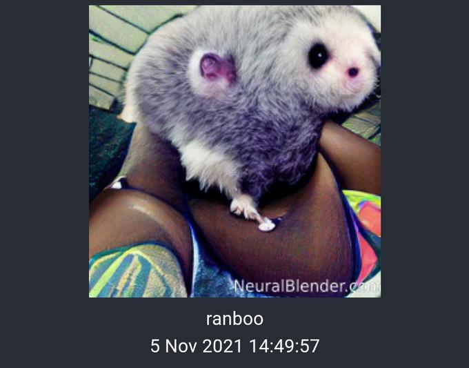 NeuralBlender.cm ranboo 5 Nov 2021 14:49:57