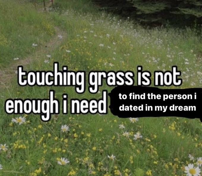 touching grass is not enough i need to find the person i dated in my dream