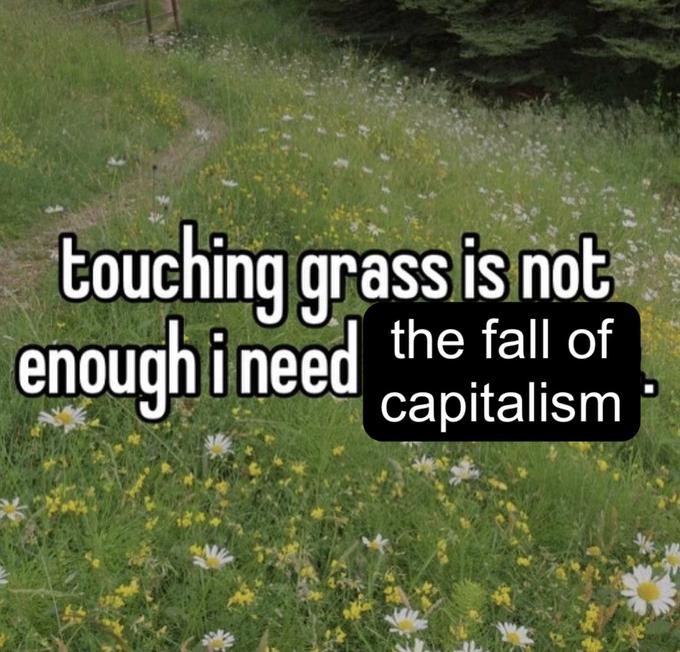 touching grass is not enough i need the fall of capitalism
