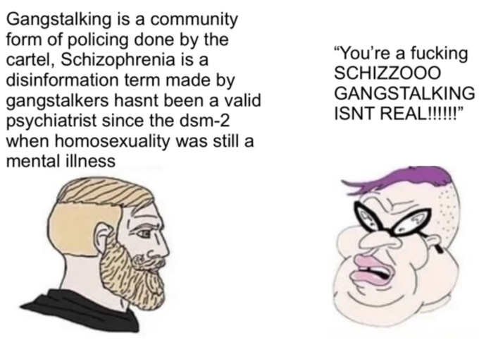 Gangstalking is a community form of policing done by the cartel, Schizophrenia is a disinformation term made by gangstalkers hasnt been a valid psychiatrist since the dsm-2 when homosexuality was still a mental illness "You're a f------ SCHIZZOOO GANGSTALKING ISNT REAL!!!!!!"