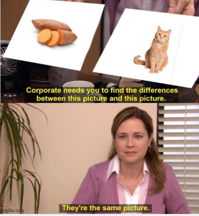 Corporate needs you to find the differences between this picture and this picture. They're the same picture. mgflip.com