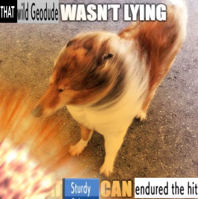 THAT M Geodude WASN'T LYING Sturdy CAN endured the hit!