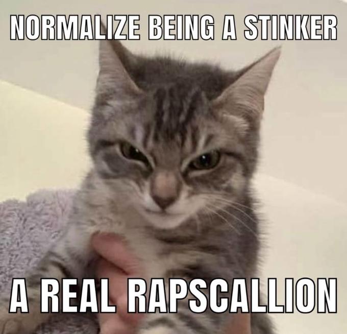 NORMALIZE BEING A STINKER A REAL RAPSCALLION