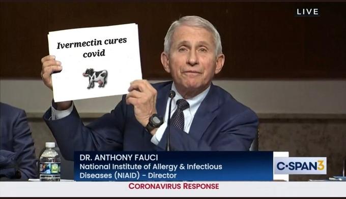 LIVE Ivermectin cures covid DR. ANTHONY FAUCI National Institute of Allergy & Infectious Diseases (NIAID) - Director C-SPAN3 CORONAVIRUS RESPONSE