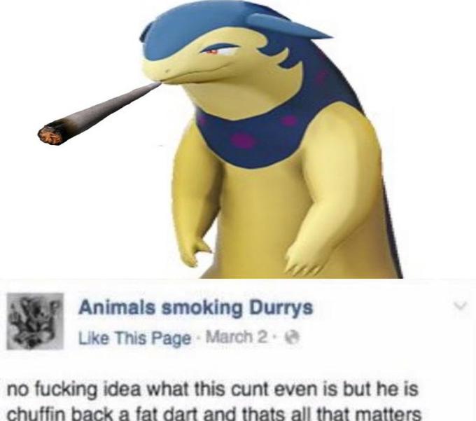 Animals smoking Durrys Like This Page March 2 @ no f------ idea what this c--- even is but he is chuffin back a fat dart and thats all that matters