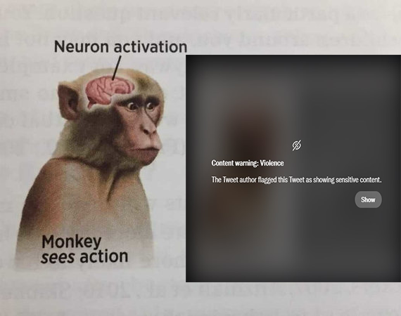 Neuron activation Content warning: Violence The Tweet author flagged this Tweet as showing sensitive content. Show Monkey sees action