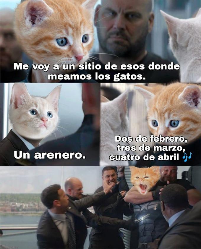 Me voy a un sitio de esos donde meamos los gatos. Dos de febrero, tres de marzo, cuatro de abril Un arenero.