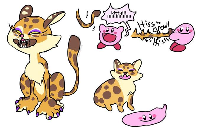 kitty!!! Hissnay iiiiiiiiiiiiiiiii