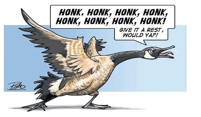 HONK. HONK, HONK, HONK, HONK, HONK, HONK, HONK! GIVE IT A REST, WOULD YA?! LaMontagneArt.com