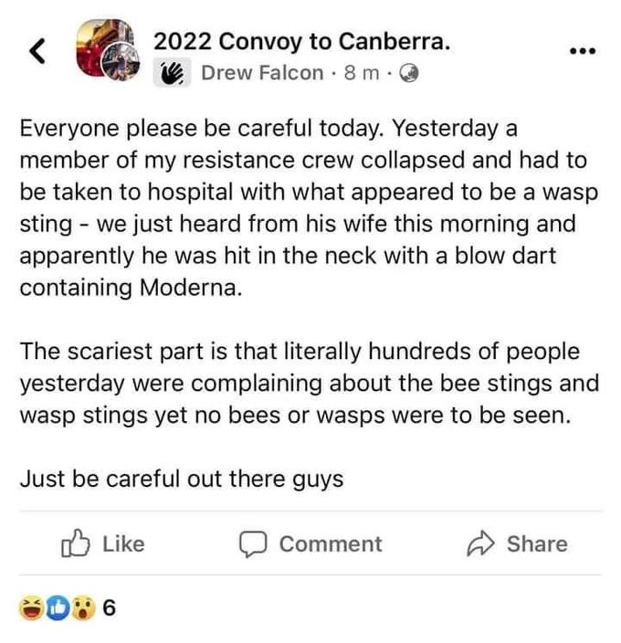 2022 Convoy to Canberra. Drew Falcon · 8 m · Everyone please be careful today. Yesterday a member of my resistance crew collapsed and had to be taken to hospital with what appeared to be a wasp sting - we just heard from his wife this morning and apparently he was hit in the neck with a blow dart containing Moderna. The scariest part is that literally hundreds of people yesterday were complaining about the bee stings and wasp stings yet no bees or wasps were to be seen. Just be careful out there guys O Like Comment Share 6