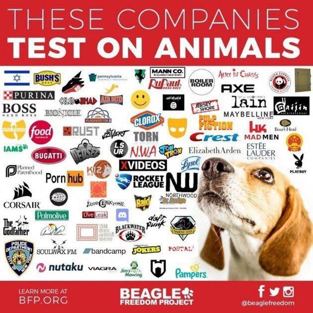 It gets better the more you look at it. Look in tags for some good examples.