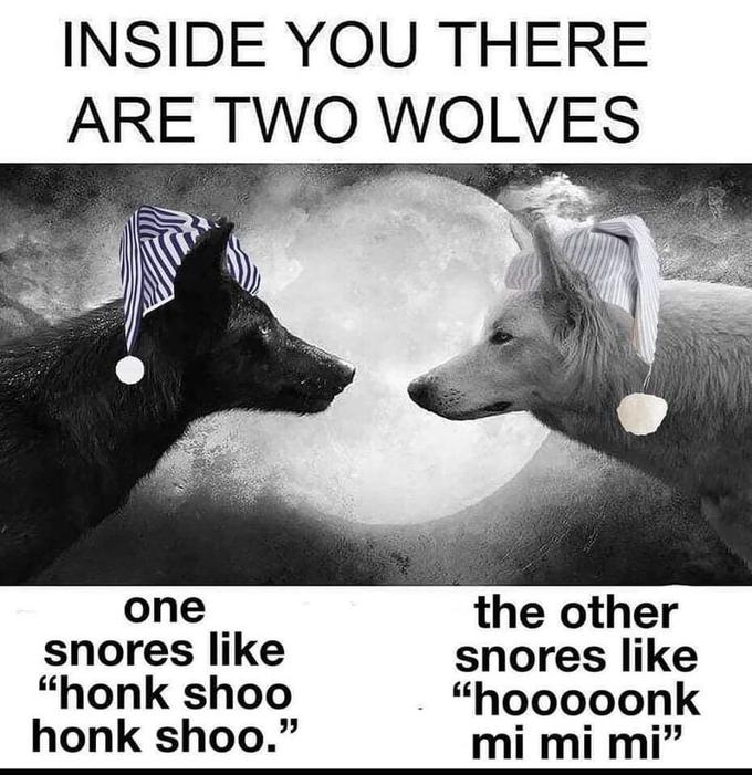 INSIDE YOU THERE ARE TWO WOLVES the other snores like "hooooonk mi mi mi" one snores like "honk shoo honk shoo."