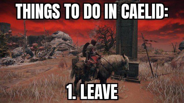 THINGS TO DO IN CAELID: 1. LEAVE