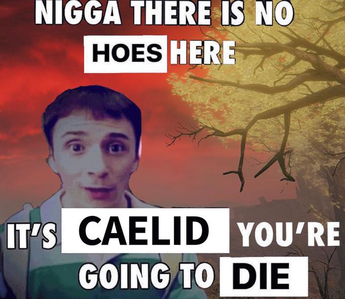 N---- THERE IS NO HOES HERE IT'S CAELID YOU'RE GOING TO DIE