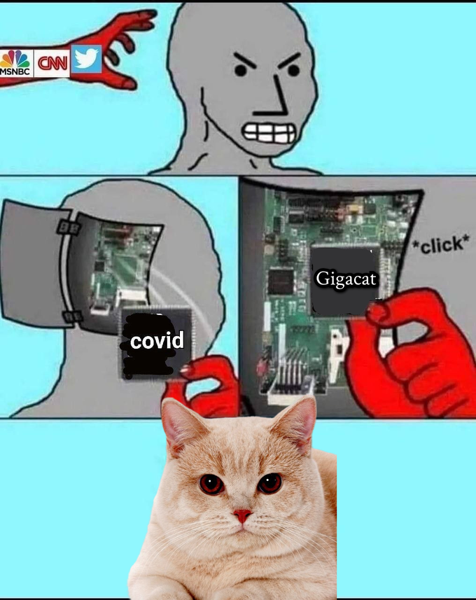 MSNBC "click* Gigacat covid
