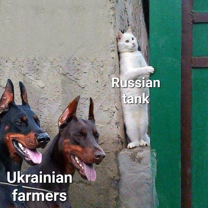 Russian tank Ukrainian farmers Dog Carnivore Dog breed Fawn Companion dog Small to medium-sized cats Pet supply Felidae Gas Snout