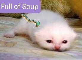 Full of Soup