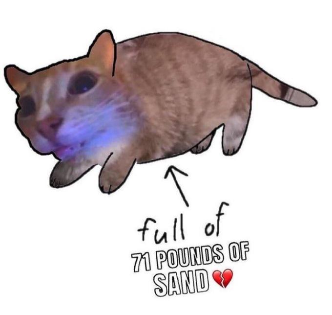 full of 71 POUNDS OF SAND