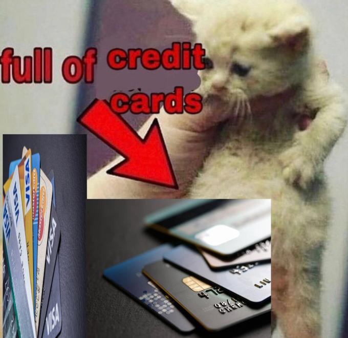 full of credit cards LIV CHER DSIA VSI A USIN u