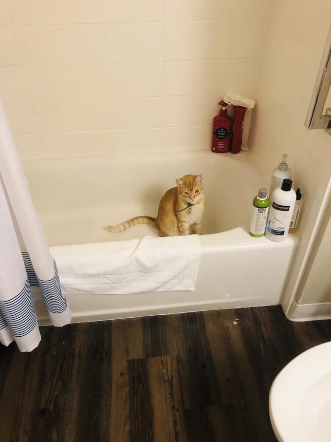 Ou Suce RESemme MATURA CARE+ CLEAN