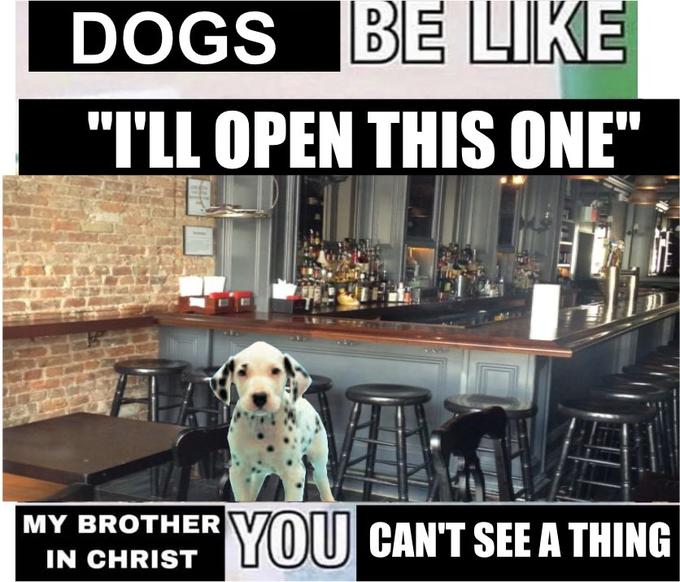 DOGS BE LIKE "TLL OPEN THIS ONE" MY BROTHER YOU CAN'T SEE A THING IN CHRIST