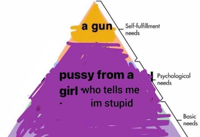 a gun Self-fulfillment needs p---- from a girl who tells me im stupid Psychological needs Basic needs